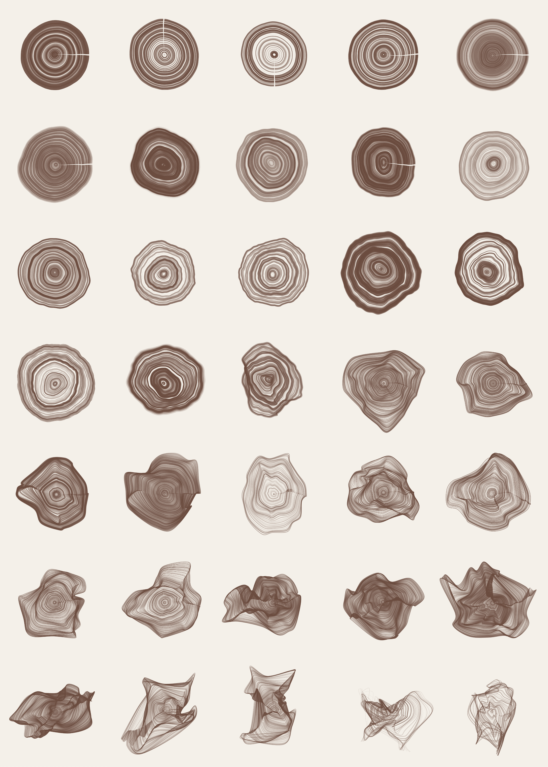 Tree Rings A grid of digitally rendered cross sections of trees in brown and sepia tones